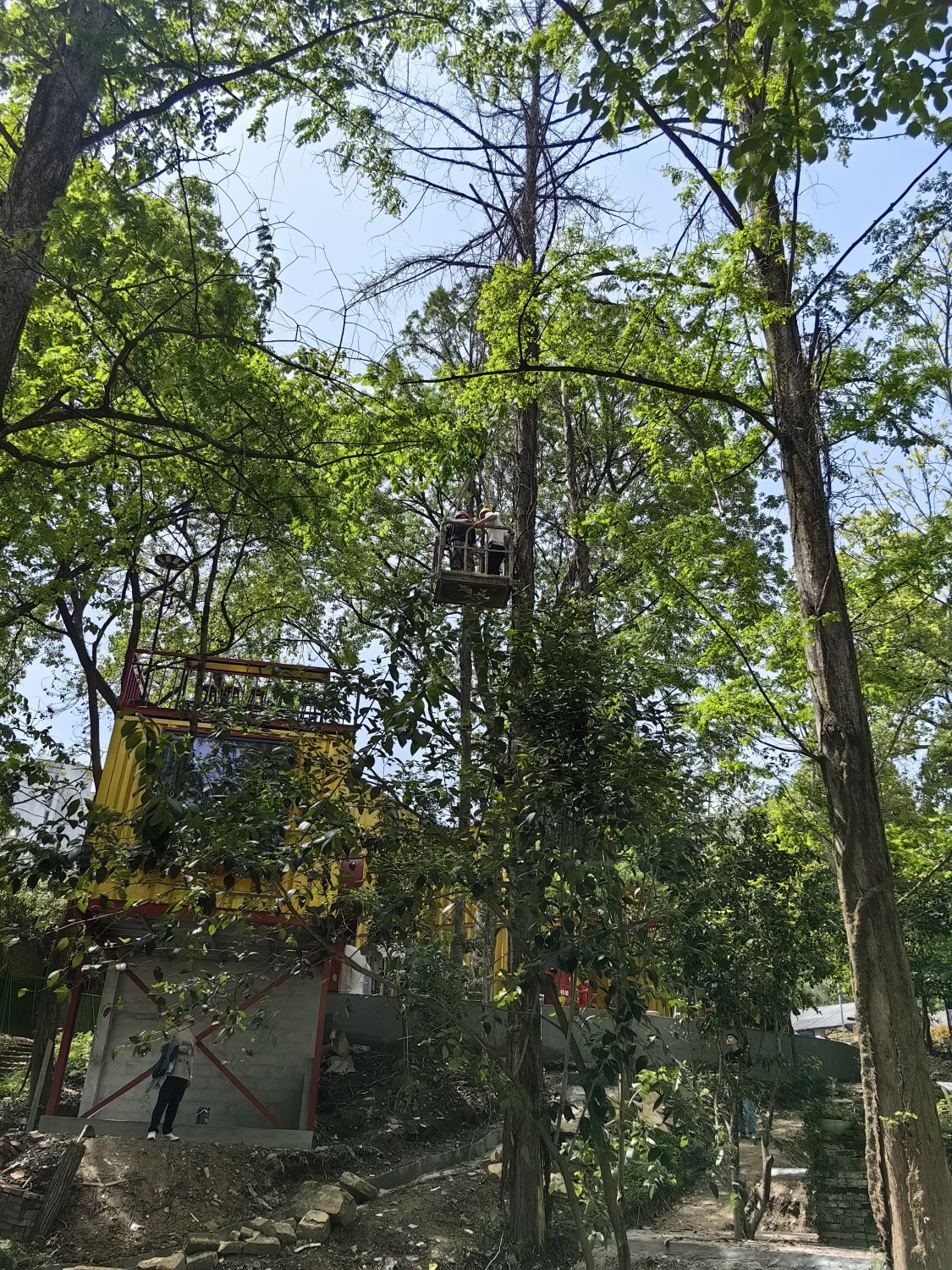 微信圖片_20250414153811.jpg 微信圖片_20250414153811.jpg